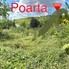 Teren de vânzare Podgoria - 147438TV - Poza 1 din 6 | BLITZ Oradea | Poza2