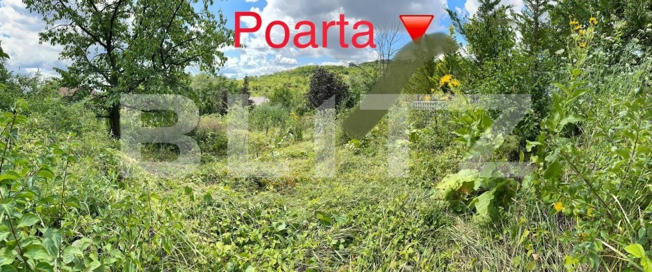 Teren de vânzare Podgoria - 147438TV | BLITZ Oradea | Poza3