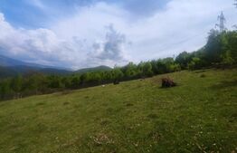 Teren intravilan, 1661 mp, Nucet