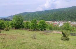Teren intravilan, 1661 mp, Nucet