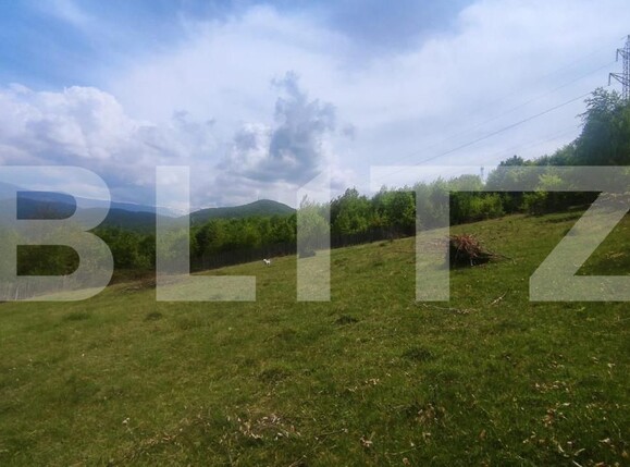 Teren de vânzare Exterior Sud - 147714TV | BLITZ Oradea | Poza2