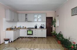 Casa P+E, 157 mp utili, 1144 mp teren, Livada de Bihor