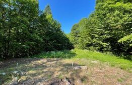 Pensiune 500 mp, teren 850 mp, in satul Boga