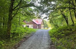 Pensiune 500 mp, teren 850 mp, in satul Boga