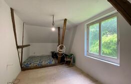 Pensiune 500 mp, teren 850 mp, in satul Boga