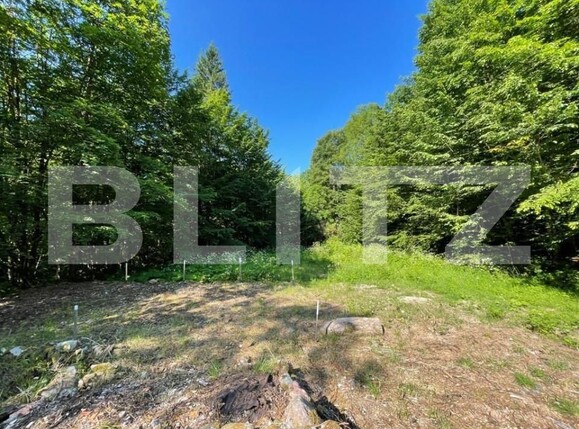 Casa de vânzare 5 camere Exterior Sud - 147719CV | BLITZ Oradea | Poza2