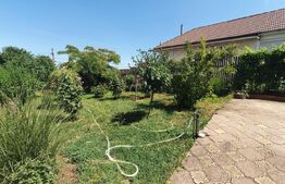 Casă de 200 mp, teren 800 mp, zona Spitalului Județean