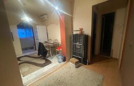 Apartament cu 2 camere , în bloc cu acoperiș - Iosia