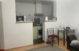 Apartament de vânzare,44 mp, zona Dacia 