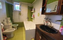 Casă de 100 mp, teren 164 mp, curte individuală, zona Plastor