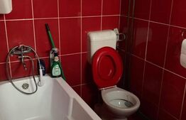 Apartament de 3 camere, 56,85 mp, la curte comuna, teren, zona Parcul Petofi