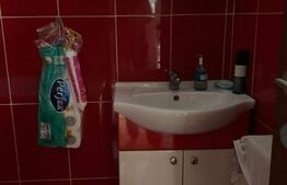 Apartament de 3 camere, 56,85 mp, la curte comuna, teren, zona Parcul Petofi