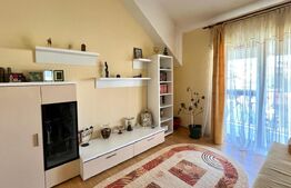 Casa centrala, individuala, zona Sirul Canonicilor