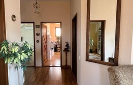 Casa centrala, individuala, zona Sirul Canonicilor