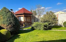 Casa centrala, individuala, zona Sirul Canonicilor