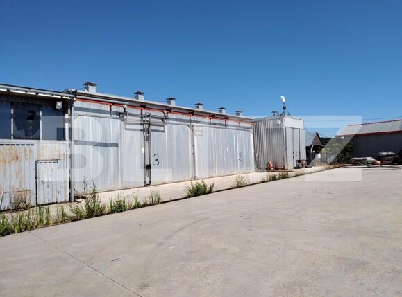 Spațiu industrial de închiriat Nord-Vest - 149323SII | BLITZ Oradea | Poza9