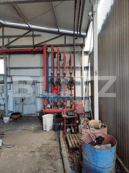 Spațiu industrial de închiriat Nord-Vest - 149323SII | BLITZ Oradea | Poza8