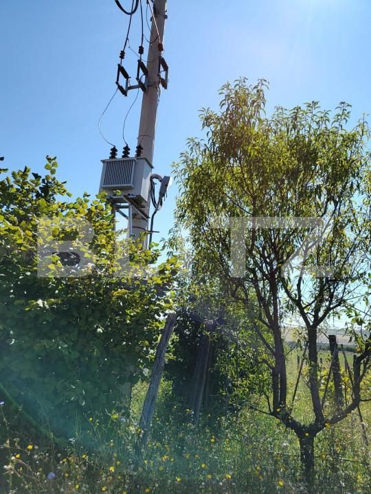 Spațiu industrial de închiriat Nord-Vest - 149323SII | BLITZ Oradea | Poza3