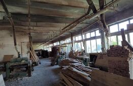 Fabrica de mobila zona Marghita. Hala 1200mp + 500mp depozit pe teren 5000mp