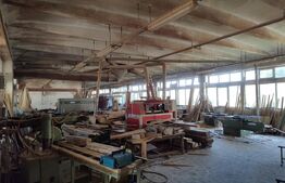 Fabrica de mobila zona Marghita. Hala 1200mp + 500mp depozit pe teren 5000mp