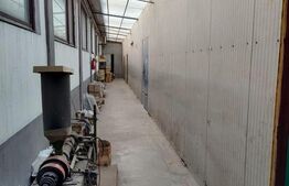 Hala industriala cu afacere la cheie inclus in pret!