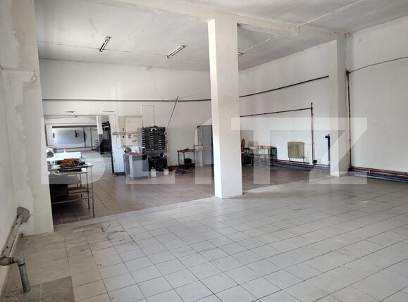 Spațiu industrial de închiriat Nord-Est - 149327SII | BLITZ Oradea | Poza3