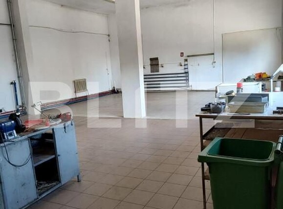 Spațiu industrial de închiriat Nord-Est - 149327SII | BLITZ Oradea | Poza11