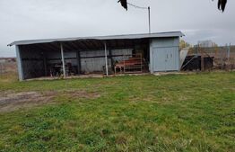 Hala industriala de vanzare la 30km de Oradea