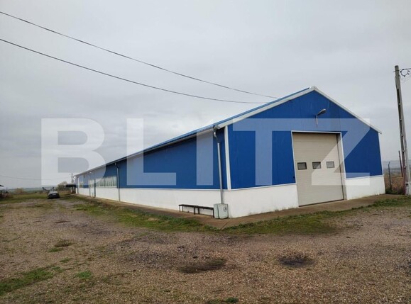Spațiu industrial de vânzare Nord-Est - 149328SVI | BLITZ Oradea | Poza1