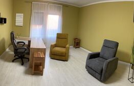 Spatiu comercial la casa cu chirias de vanzare, zona Nymphaea