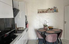 Se vinde casa in Sântandrei cu finisaje  lux sau schimb cu apartament in Oradea 