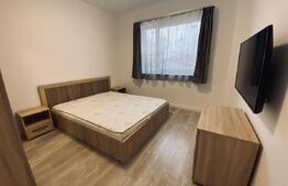 Apartament 2 camere lux, 47 mp, parter, zona Onestilor