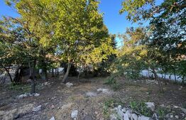 Teren cu casa demolabila de vanzare zona Spitalul TBC