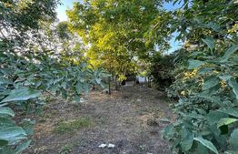 Teren cu casa demolabila de vanzare zona Spitalul TBC