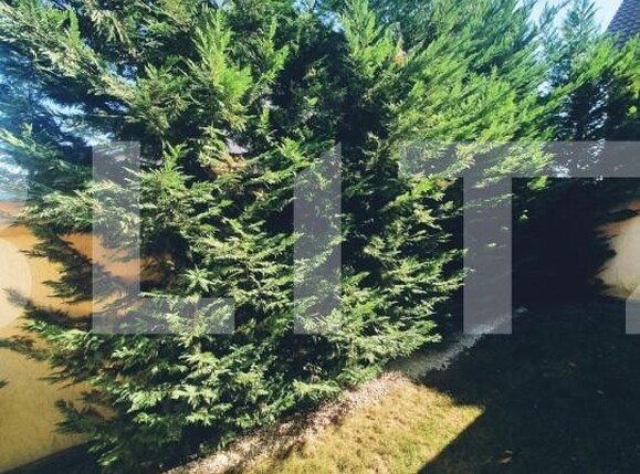 Casa de vânzare 4 camere Santandrei - 149671CV | BLITZ Oradea | Poza13