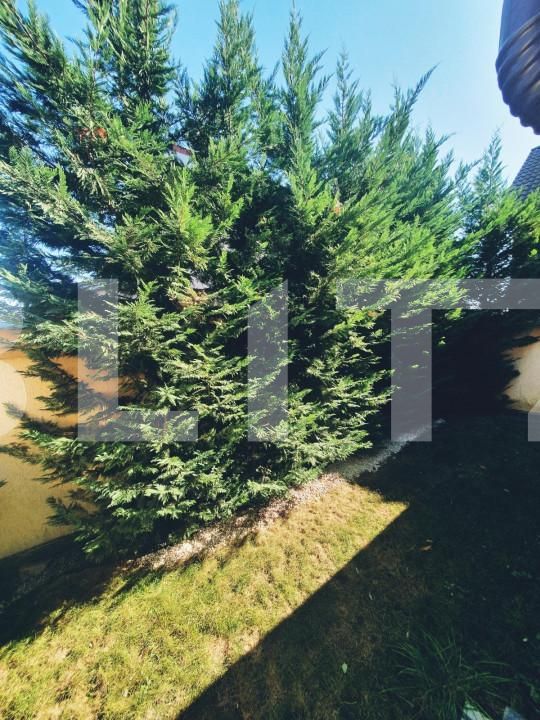 Casa de vânzare 4 camere Santandrei - 149671CV | BLITZ Oradea | Poza13