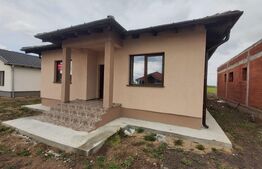  Casa 4 camere, 500 mp, Sintandrei