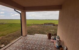  Casa 4 camere, 500 mp, Sintandrei