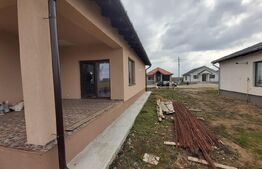  Casa 4 camere, 500 mp, Sintandrei