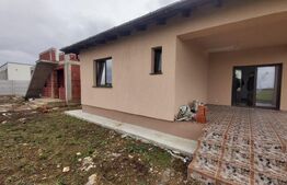  Casa 4 camere, 500 mp, Sintandrei