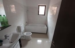  Casa 4 camere, 500 mp, Sintandrei