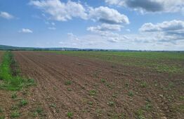 Teren intravilan, 11500mp, Rontau 