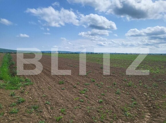 Teren de vânzare Sanmartin - 149890TV | BLITZ Oradea | Poza1
