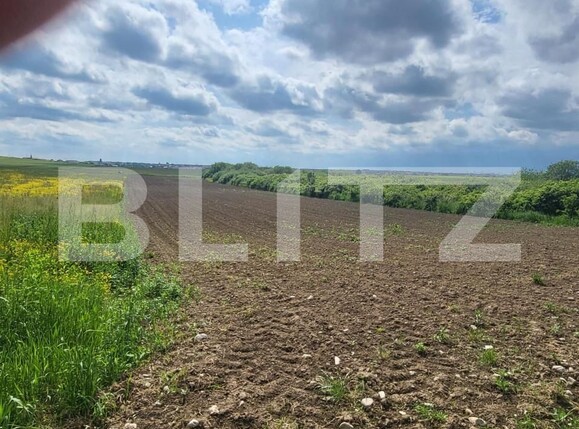 Teren de vânzare Sanmartin - 149890TV | BLITZ Oradea | Poza2