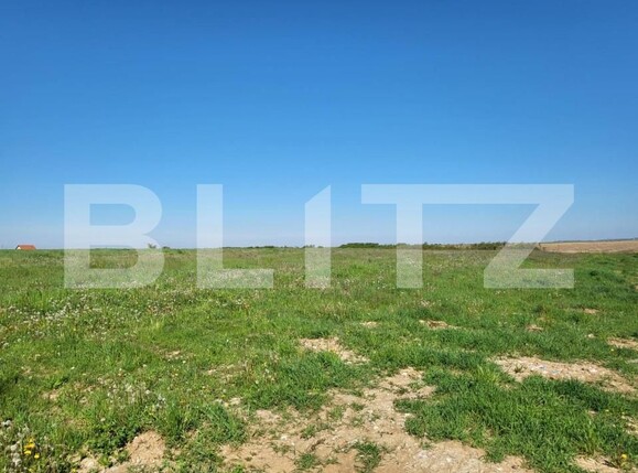 Teren de vânzare Rontau - 149896TV | BLITZ Oradea | Poza2