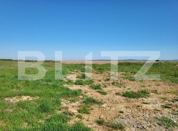 Teren de vânzare Rontau - 149896TV | BLITZ Oradea | Poza5