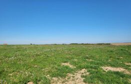 Teren extravilan, 7700mp, Sanmartin