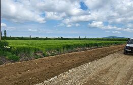 Teren intravilan, 7000mp,  Sanmartin langa centura 