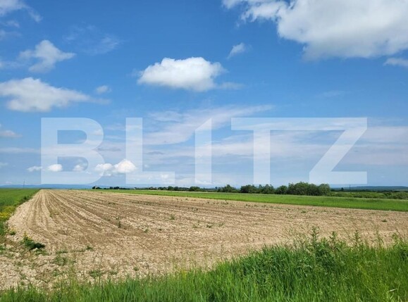 Teren de vânzare Sanmartin - 149907TV | BLITZ Oradea | Poza1