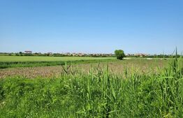 Teren intravilan, 3000mp, Sanmartin Rontau